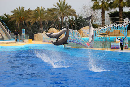 Marineland Antibes