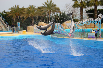 Marineland Antibes