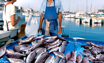 Yachthafen in Marseille