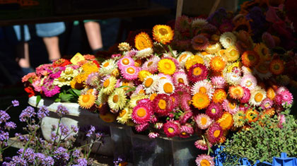 Blumenmarkt in Nizza