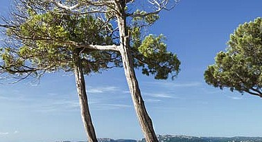 Plage de Calanque de Maubois